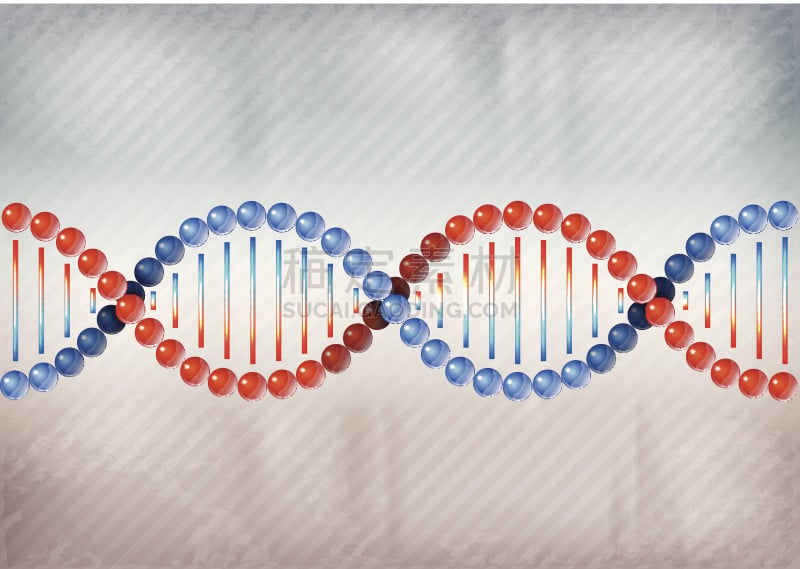 脱氧核糖核酸,彩色图片,数字2,干细胞,染色体,生物科技,形状,微生物学,无人,绘画插图
