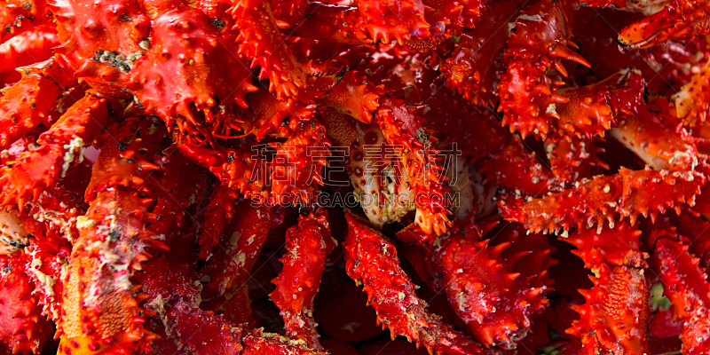 螃蟹,背景,图像,爪,接力赛,红色,水平画幅,无人,全景,甲壳动物