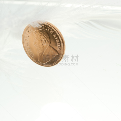 南非克鲁格金币,无人,南部非洲,非洲,黄金,图像,方形画幅,金色,摄影