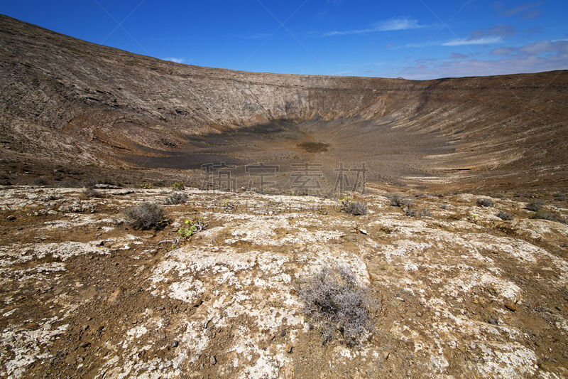 兰萨罗特岛,夏天,植物,西班牙,Timanfaya National Park,盐滩,天空,洞,水平画幅,花