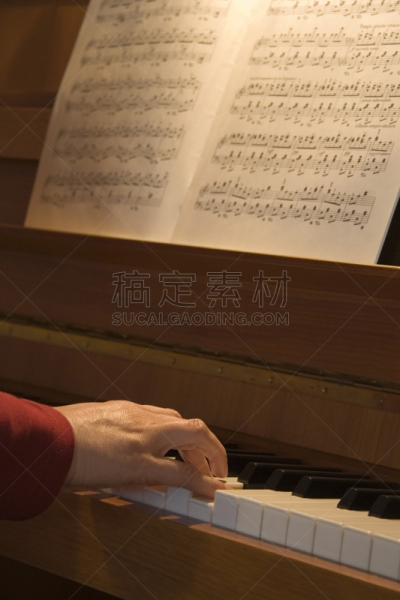 钢琴师,垂直画幅,艺术家,褐色,进行中,噪声,古典乐,音符,乐器,白色