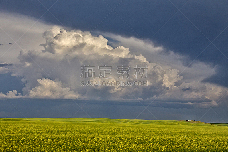 草原,乌云,自然,天空,美,暴风雨,气候,水平画幅,地形,无人