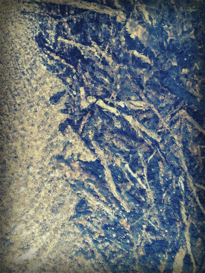 张伯伦湖,垂直画幅,水,褐色,湖岸,沙子,藻类,夏天,湖,特写