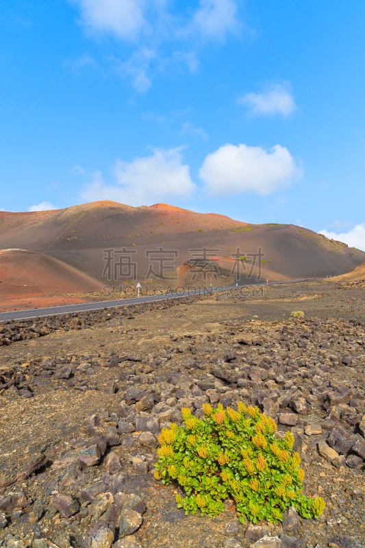 timanfaya national park,volcanic terrain,垂直画幅,兰萨罗特岛,沙子,无人,大西洋群岛,泥土,夏天,户外