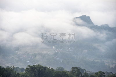 稻田,雾,早晨,格林威治村,有包装的,亚洲,自然,乡村,锥形帽,风