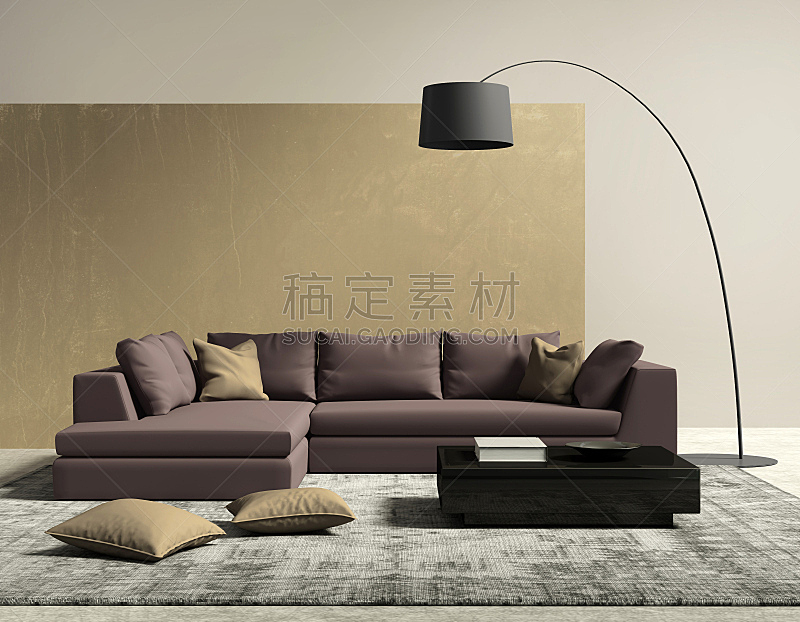 黄金,紫色,现代,起居室,极简构图,水平画幅,地毯,灯,沙发