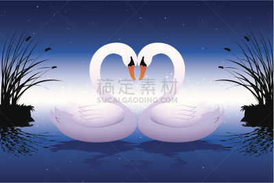 浪漫,天鹅,爱的,七夕节,约会之夜,可爱的,草,自然美,动物,鸟类