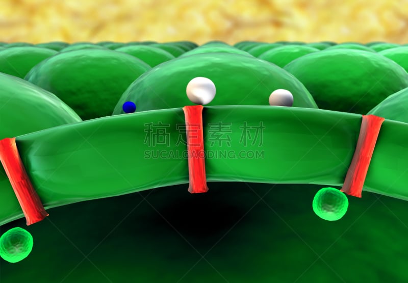 新陈代谢,生物学,专心,大规模的放大,健康保健,胞质颗粒,细胞质,药,分子