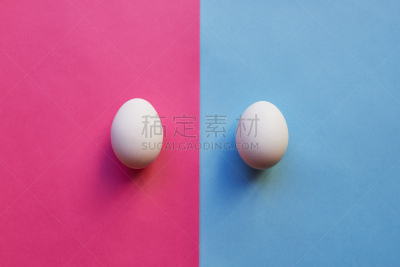 男孩,女孩,生物钟,人工授精,试管婴儿,推镜头,散养家禽,蛋,鸡蛋,卵