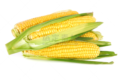 甜玉米,水平画幅,素食,水果,秋天,无人,有机食品,外壳,膳食,熟的