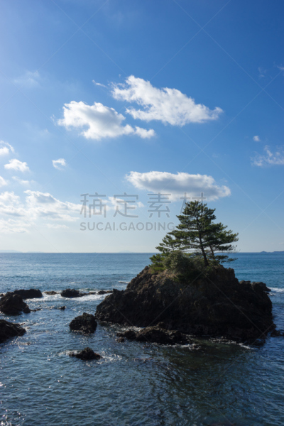 海滩,川津,伊豆半岛,相模湾,静冈县,垂直画幅,松树,里山,地形,无人