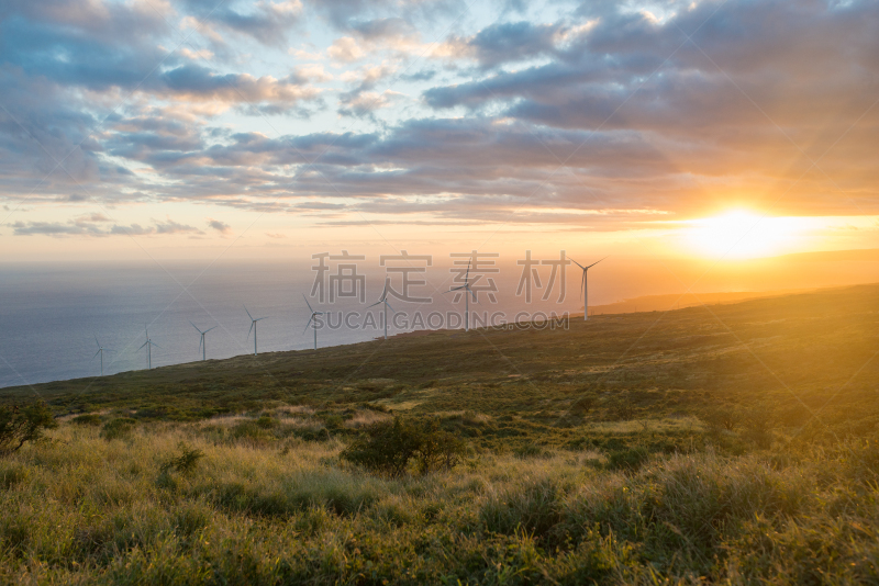 哈纳,毛伊岛,路,瓦讷帕纳帕州立公园,水,天空,公园,水平画幅,枝繁叶茂,无人