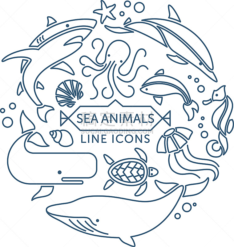 线条,符号,海洋生命,深的,野生动物,简单,抹香鲸,海豚,鲨鱼,海星