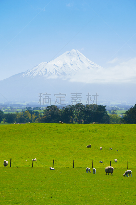 塔拉纳基山,羊场,背景,惠斯勒,垂直画幅,美,山,雪,无人,火山地形