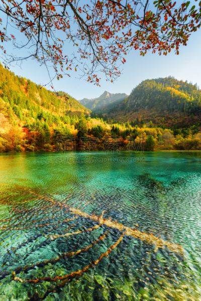 水,五只动物,潜水艇,祖母绿,花湖,垂直画幅,无人,户外,湖,山