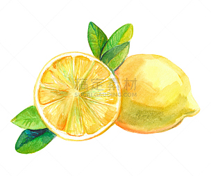 柠檬,柑橘属,切片食物,绘画插图,完整,水彩画,水彩画颜料,多汁的,维生素,自然界的状态