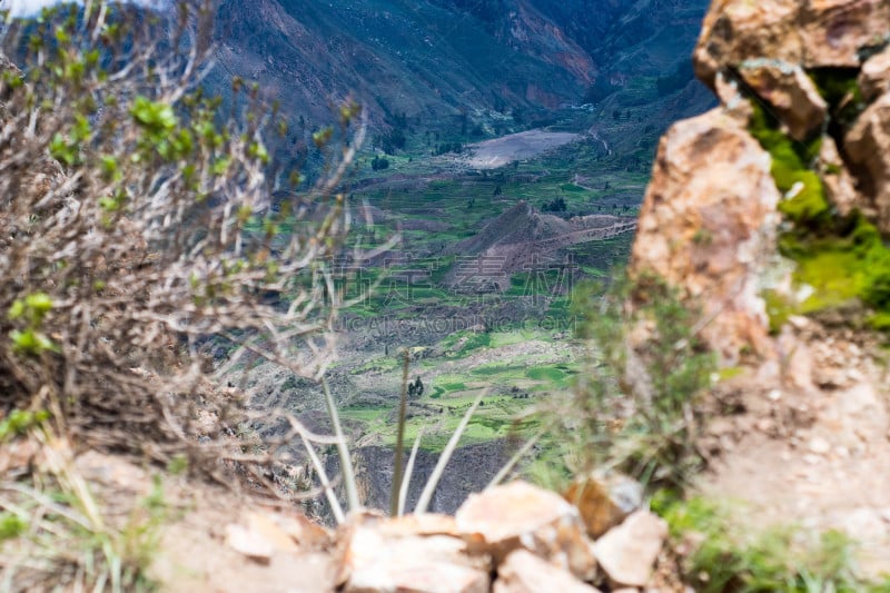 秃鹰,科尔卡峡谷,山脉,火山,大于号,南美,古代文明,拉美人和西班牙裔人,水平画幅,高视角