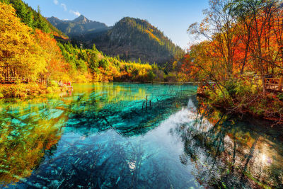 水,风景,五只动物,花湖,蓝色,宏伟,九寨沟 ,四川省,河流,中国