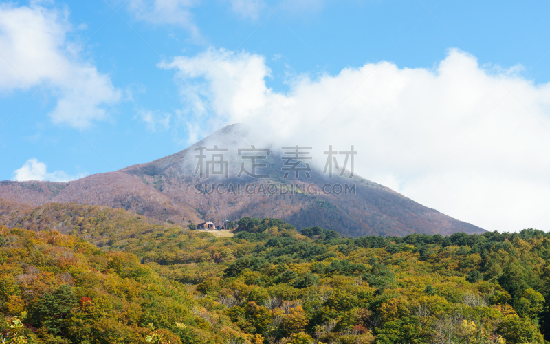 日本,秋天,叶子,福岛县,万代山,汽车,草,著名景点,自然美,枫叶