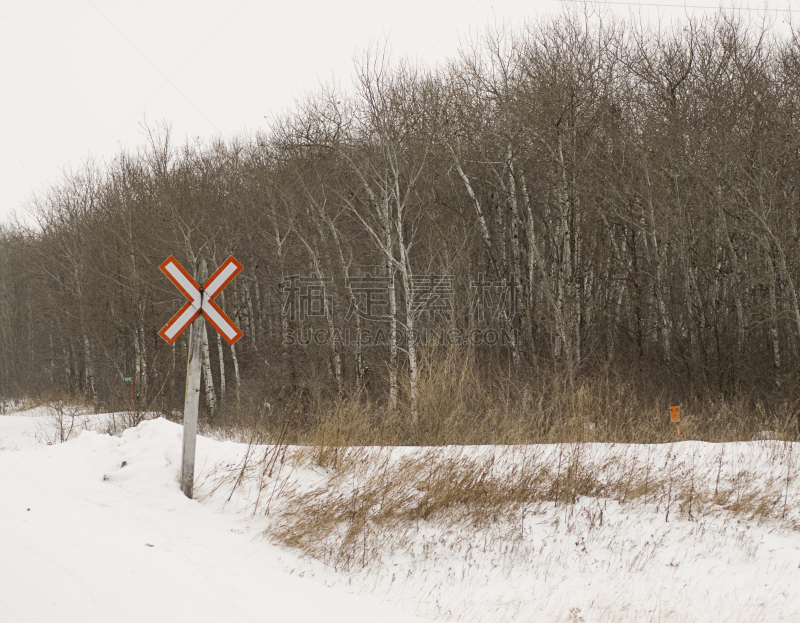 前面,火车,运动跑道,机车,寒冷,水平画幅,雪,无人,路,铁轨轨道