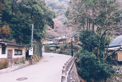 乡村,日本,小路,中山路,江户时代,水平画幅,长野县,户外,大门