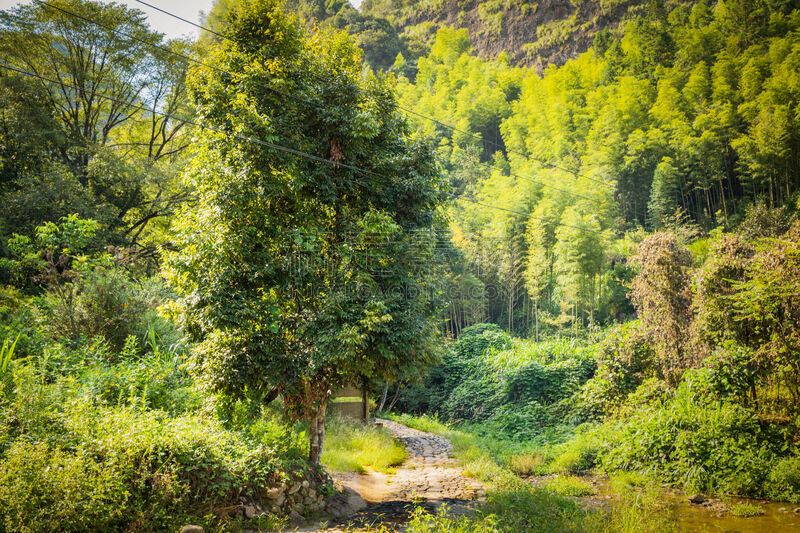 天空,山脉,风景,地形,蓝色,山顶,绿山国家森林公园,白色,云景,雪