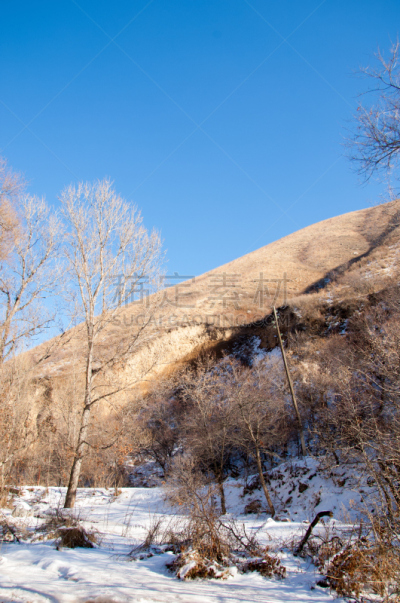 雪水,水坑,垂直画幅,风,雪,无人,湿,户外,干的,草