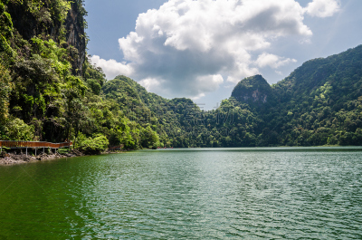 岛,潭阳郡,浮罗交怡岛,装饰旗,水,休闲活动,水平画幅,鸟类,旅行者,夏天