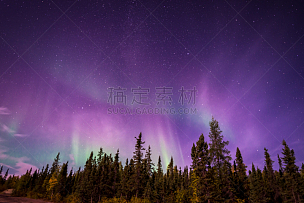 耶洛奈夫,北极光,北领地州,在上面,极光,加拿大,紫色,北,星星,冻原