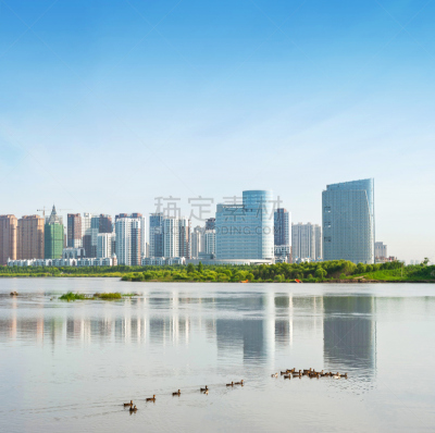 哈尔滨,松花江,水,运河,早晨,野外动物,沼泽,都市风景,现代,河岸