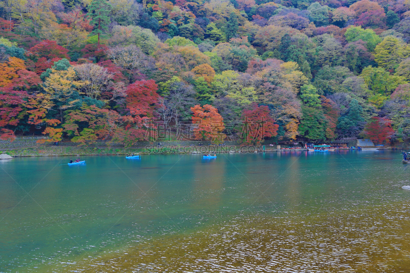 人,帆,未知的事物,大井河,katsura,岚山,自然,水,水平画幅,日本