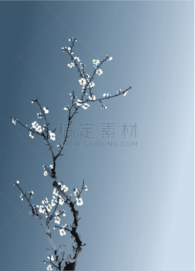 墨水,腊梅,梅花,水彩画颜料,纯净,雪,涂料,春天,李子,草图