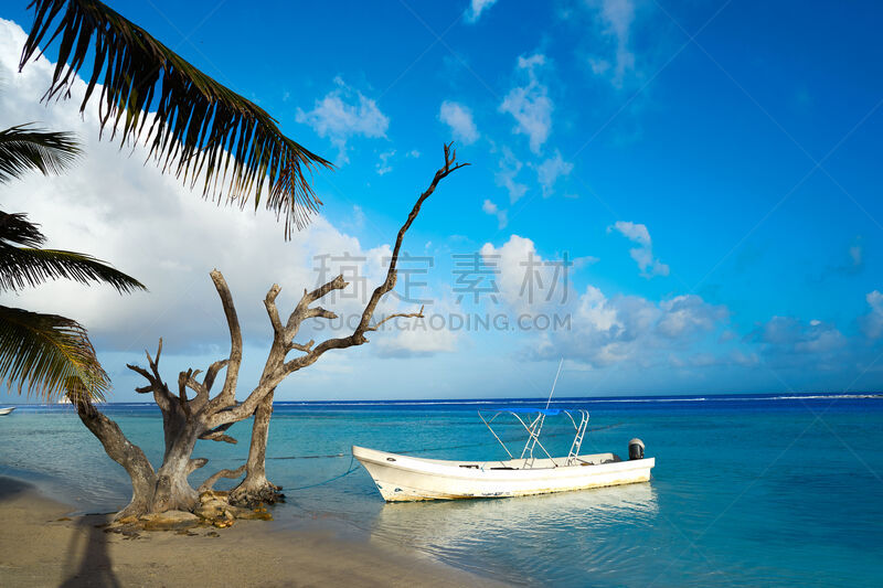 科斯塔玛雅,海滩,玛哈维,加勒比海地区,水,天空,度假胜地,水平画幅,沙子,无人
