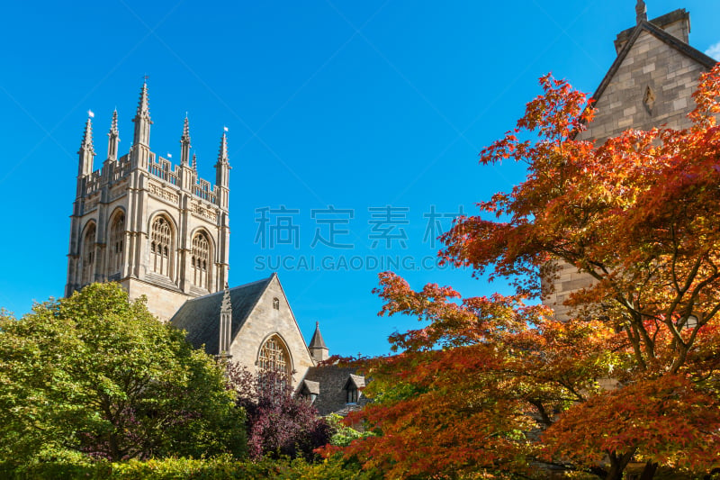 默顿地区,牛津,英格兰,大学,科茨沃尔德 ,密歇根州牛津,牛津郡,校园,尖顶