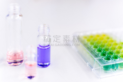 液体,皮氏培养皿,盘子,餐具,水,生物科技,状态描述,水平画幅,装管,微生物学