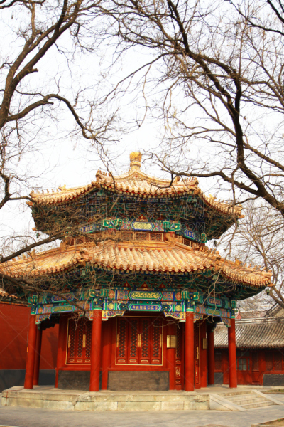 北京,大门,雍和宫,雍和宫店,胡青,球洞区,犹太教会堂,美洲驼羊,神父,垂直画幅