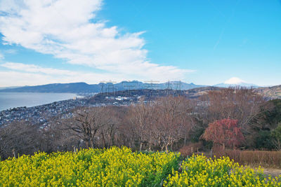 scenery from azumayamakouen
吾妻山公园からの风景