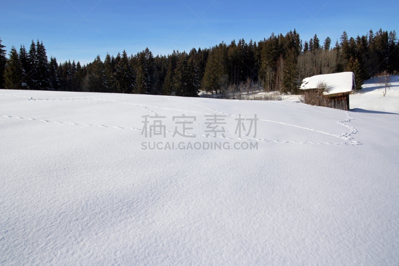 雪,地形,小屋,木制,爪印,动物留下的痕迹,小木屋,水平画幅,山,谷仓