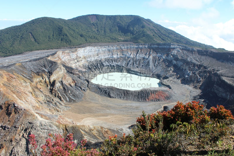 波阿斯火山,火山口,野花,伯斯国家公园,哥斯达黎加,硫磺,农场,活火山,水,天空