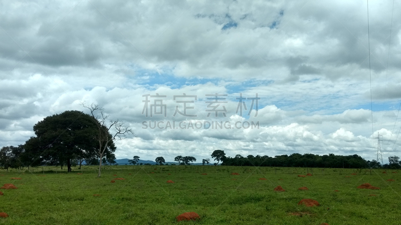 绿色,地平线,牧场,云,疯牛病,野餐桌,乳牛场,天空,草坪,夏天