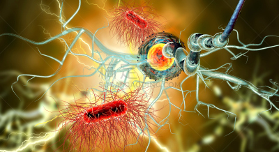 3d illustration of nerve cells and viruses