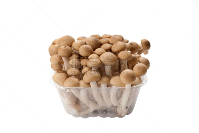 姬菇,褐色,去皮的食物,孢子,毒蘑菇,自然,水平画幅,素食,提举,有机食品