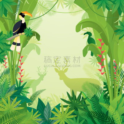 背景,鹿,犀鸟,热带雨林,鸡尾酒,清新,边框,热带气候,野生动物,泰国