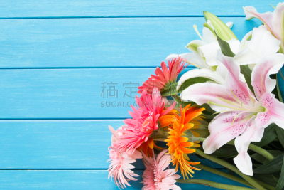 睡莲,蓝色,厚木板,留白,水平画幅,无人,古典式,夏天,在上面,花束