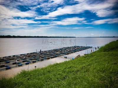 笼子,泰国,养鱼场,湄公河,巨大的,水,天空,水平画幅,夏天,户外