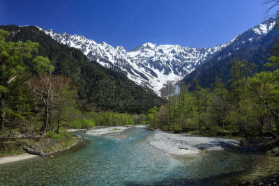 梓川,上高地国家公园,早晨,夏天,哈达卡山脉,中部山岳国立公园,松本,飞驒山脉,长野县,鲜绿色