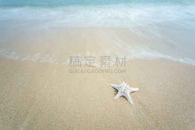 海景,北戴河,水,女王凤凰螺,水平画幅,沙子,贝壳,无人,海岸地形,偏远的