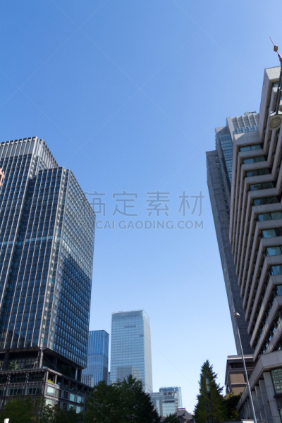 东京,秋天,城市,中环,垂直画幅,天空,无人,银杏,大手町,户外