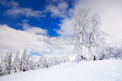 冬天,斯洛伐克,山脉,滑雪场,天空,美,度假胜地,水平画幅,云,山
