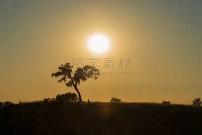 塞尔帕,天空,草地,水平画幅,橙色,地形,无人,户外,葡萄牙,太阳
